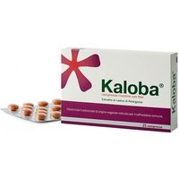 Kaloba Compresse Pelargonium Sidoides Trattamento Sintomatico del Raffreddore, 21 Compresse