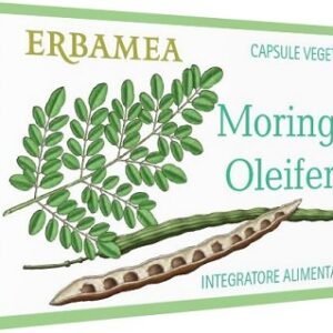 Moringa oleifera 24 capsule