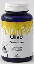 Olivo 60 capsule