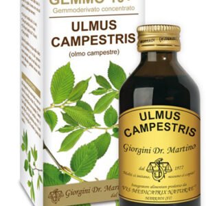 Olmo camp 100ml analc.gemme10+