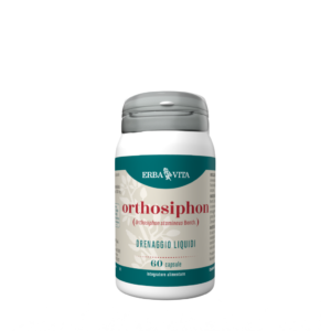 Orthosiphon 60 Capsule