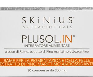 Plusol In 30 Compresse
