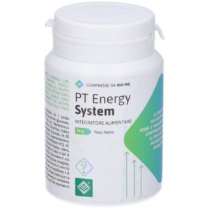 Pt energy system 30 compresse