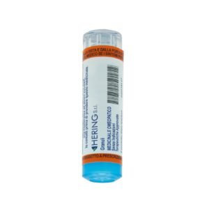 Pulsatilla 30ch 80gr 4g