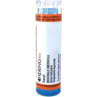 Pulsatilla 30Ch 80Gr 4G