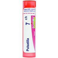 Pulsatilla Boi 7Ch 80Gr 4G