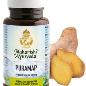 Puramap 60 Capsule 0,5g