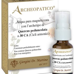 Quercus peduncolata 30ca svs
