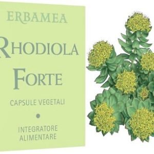 Rhodiola forte 24 capsule