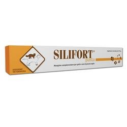 Silifort Pasta 15 Gr