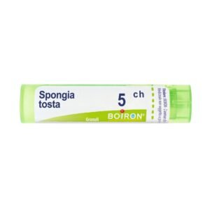 Spongia tosta 5ch gr bo