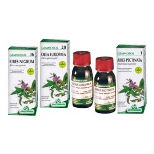 Sp.rosa canina 1dh gemme 50ml