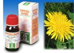 Sp.tarassaco dens leon.tm 50ml