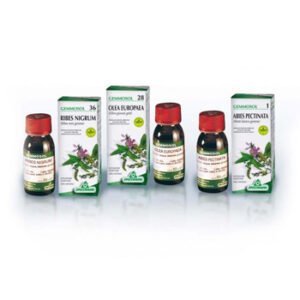 Sp.tilia 46 tiglio gemme 50ml