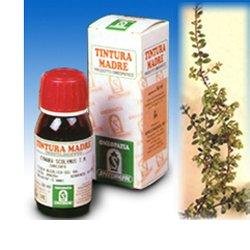 Sp.uva ursi tm 50ml