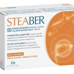 STEABER 60 COMPRESSE GASTROPROTETTE