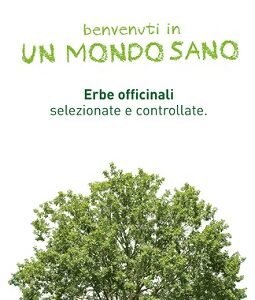The nilo taglio filtro 1 kg