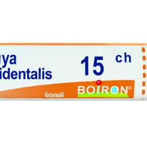 Thuya occident 15ch gr bo