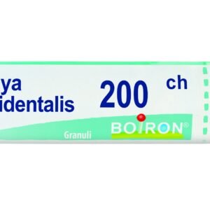 Thuya occident 200ch gr bo