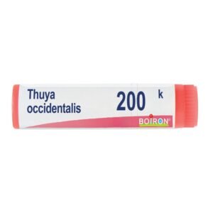 Thuya occident 200k gl bo