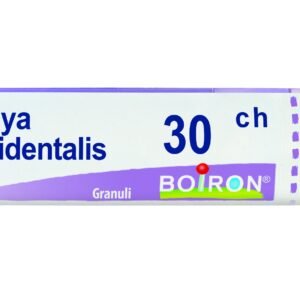 Thuya occident 30ch gr bo