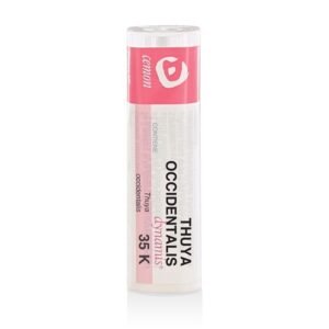 Thuya occident 35k gr und
