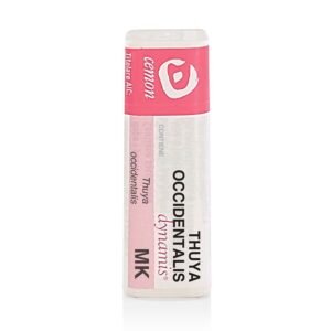 Thuya occident mk gl und