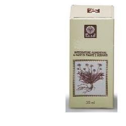 Tiglio gemme estratto analcolico 50 ml