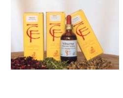 Viburno gemme 100ml mg