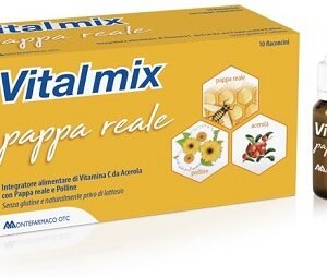 Vitalmix Pappa Reale 10 Flaconcini da 10 ml
