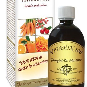 Vitamin 100 Liquido Analcolico 500ml