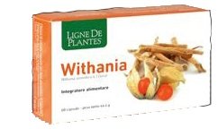 Withania 60 Capsule Nse