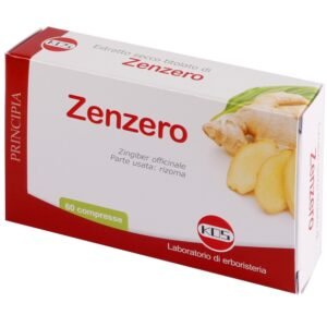 Zenzero estratto secco 60 compresse